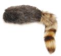 CAPPELLO THE COONSKIN CAP - Le origini di questo cappello possono essere fatte risalire ai primi nativi Americani . Molti cacciatori indossavano cappelli di pelliccia degli animali come parte mimetica . Coloni Europei cominciarono a colonizzare ci che noi oggi chiamiamo gli Stati del Kentucky e Tennessee l'uso del Coonskin come parte dell'abbigliamento caccia .TAGLIA UNICA MADE IN USA