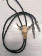 Cravatta BOLO TIE BULL SKULL . Cravatta BOLO TIE BULL SKULL originale USA esclusivo per uomo o donna . Cravatta BOLO TIE BULL SKULL abbinabile a camicia , abito e abbigliamento per il tempo libero .