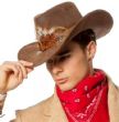 Cappello Western e piume . Cappello Western e piume colore marrone . Cappello Western e piume 100% poliestere . 